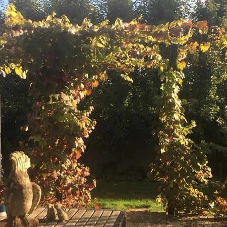 A'Meadow Bed and Breakfast Trentham Exteriör bild