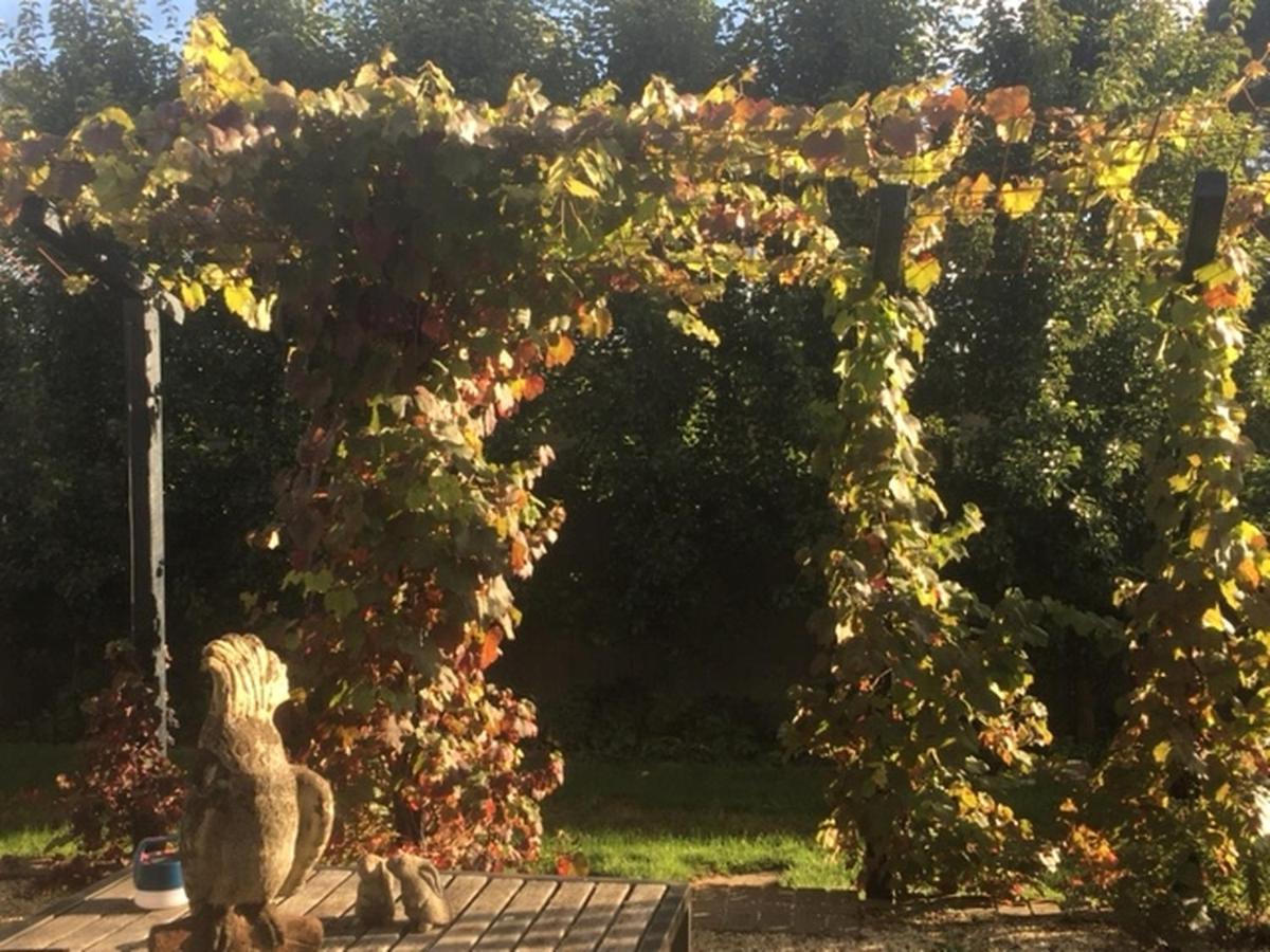 A'Meadow Bed and Breakfast Trentham Exteriör bild