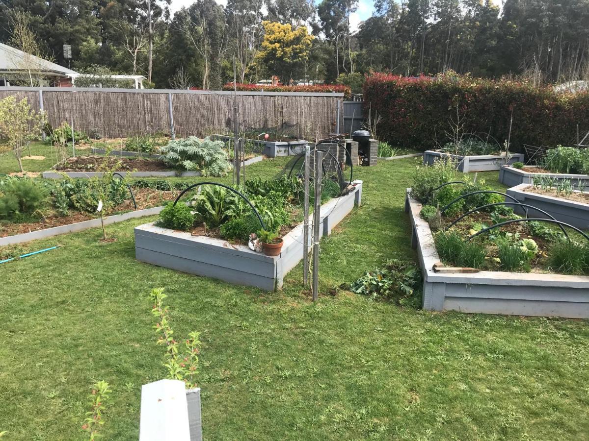 A'Meadow Bed and Breakfast Trentham Exteriör bild