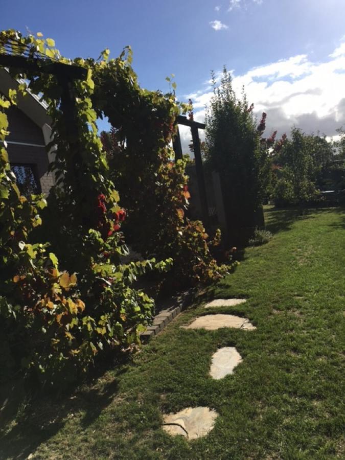 A'Meadow Bed and Breakfast Trentham Exteriör bild